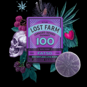 100mg Triple Berry x Fatso Live Rosin Gummy