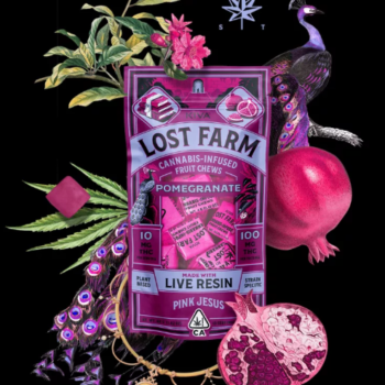 10mg Pomegranate x Pink Jesus Live Resin Chews