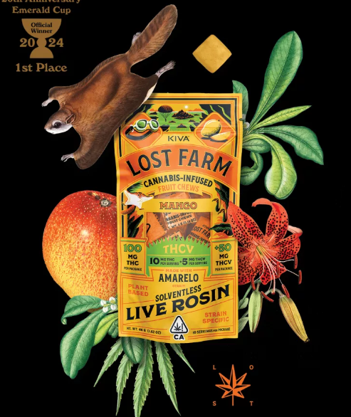 10mg : 5mg THCV Mango x Amarelo Live Rosin Chews